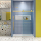 Bypass shower door, sliding door,soft close system, with 5/16" tempered glass and Brushed Gold finish 4874 - Comfortable Living Decor